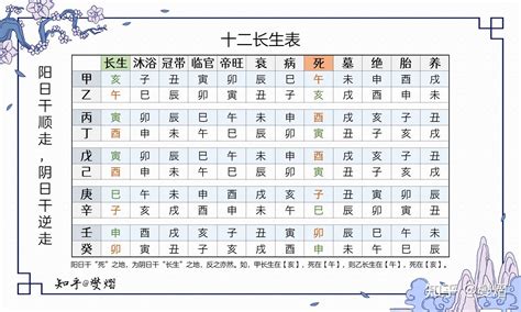 長生位|八字算命基礎——十二長生